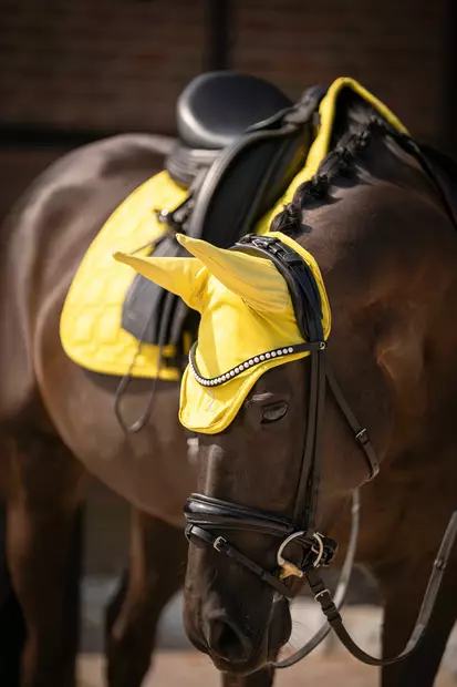 Korvahuput Limone lemon HKM-sports - Ratsuhevosen huput ja korvapallot - 056733 - 2