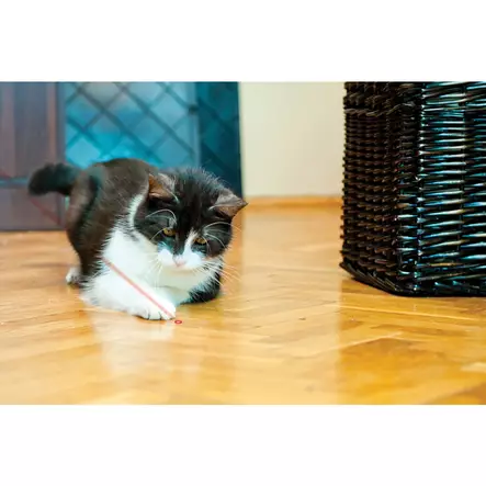 Laserosoitin Cat Laser Toy KONG - Kissan valo- ja laserleikittimet - 000373 - 4