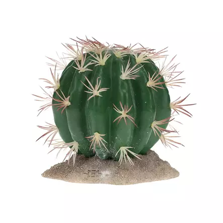 Tekokaktus Echinocactus Green Terra Della - Terraarion tarvikkeet ja kuivikkeet - 059433 - 1