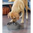 Ahmimisenestokuppi L 28cm harmaa Slo-Bowl Fun Feeder Outward Hound - Aktivoivat ja ahmimisenesto ruokakupit - 038693 - 4