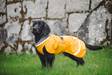 KevytPomppa Curry koiran välikausitakki - Koiran manttelit - 030673 - 3
