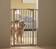 Lemmikkiportti 107cm, 75-84cm beige Savic - Koiraportit - 003923 - 1