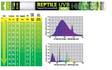 Loisteputki matelijalle UVB100 18W 60cm UVA/UVB Exo Terra Reptile - Terraarion tarvikkeet ja kuivikkeet - 014623 - 3