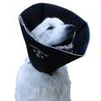 Pehmeä kauluri musta Comfy Cone - Koiran kaulurit ja suojapuvut - 010663 - 1