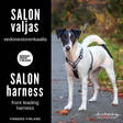 Säätövaljas Salon musta FinNero - Koiran Y-valjaat - 005633 - 1