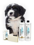 Saippuashampoo Puppy Don't Cry 75g Iv San Bernard - Koiran shampoot - 022973 - 2