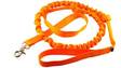 Talutin joustolla 2,5x240cm oranssi ALAC - Koiran nylontaluttimet - 017203 - 1