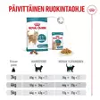 Ageing 11+ Sterilised Royal Canin - Kissan kuivaruoat ikääntyville kissoille - 053853 - 8