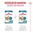 Ageing 11+ Sterilised Royal Canin - Kissan kuivaruoat ikääntyville kissoille - 053853 - 5