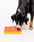 Aktivointipeli Treat Maze 12 osaa Pawzler - Koiran aktivointilelut - 059883 - 6