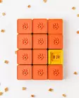 Aktivointipeli Treat Maze 12 osaa Pawzler - Koiran aktivointilelut - 059883 - 1