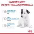 Babydog Milk Royal Canin - Kuivaruoat pennuille ja kasvatukseen - 000953 - 7