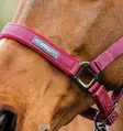 Nylonriimu + riimunaru 2m Amigo mulberry Horseware - Hevosen nylonriimut - 056343 - 3