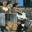 Kortti 13.7x13.7cm Company of Cats - Lahjatavarat - 059143 - 1