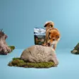 Namipala Northern Treats Turkey Bits Puppies & Training 150g PrimaDOg - Koiran herkut ja makupalat - 057273 - 3
