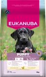 Puppy Large Eukanuba - Kuivaruoat pennuille ja kasvatukseen - 000183 - 3