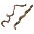 Puuköynnös Wood Vines M 75cm Terra Della - Terraarion tarvikkeet ja kuivikkeet - 059423 - 1