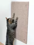 Raapimataulu XXL seinälle 50x70cm ruskea Trixie - Kissan raapimalaudat ja -tolpat - 047523 - 1