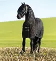 Talliloimi Rambo 1000D 100g Black/Thunderstorm Grey & Silver Horseware - Hevosen toppatalliloimet - 059563 - 2