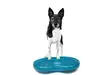 Tasapainoalusta Duo Disc 60x33x7cm turkoosi FitPaws - Koiran aktivointilelut - 060143 - 1