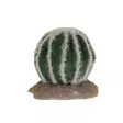 Tekokaktus Echinocactus Green Terra Della - Terraarion tarvikkeet ja kuivikkeet - 059433 - 2