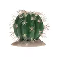 Tekokaktus Echinocactus Green Terra Della - Terraarion tarvikkeet ja kuivikkeet - 059433 - 1