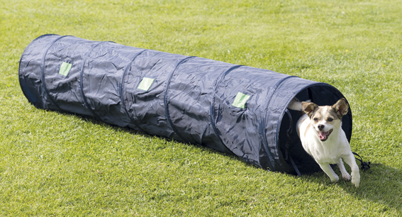 Agility tunneli 40x200cm sin Trixie - Esteet, putket, tasapainotyynyt - 009223 - 1