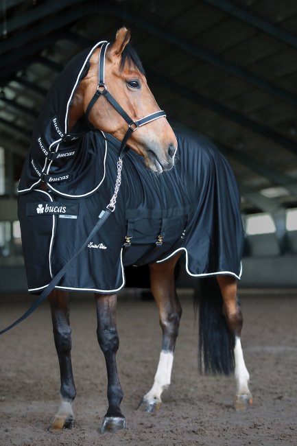 Coolerloimi X-Range kaulakappaleella musta hopea Limited Edition Bucas - Hevosen kuivatusloimet - 035723 - 1