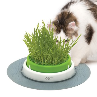 Kissanruohon kasvatusalusta vihreä-valkoinen Grass Planter Catit Senses 2.0 - Kissan aktivointilelut - 006273 - 1