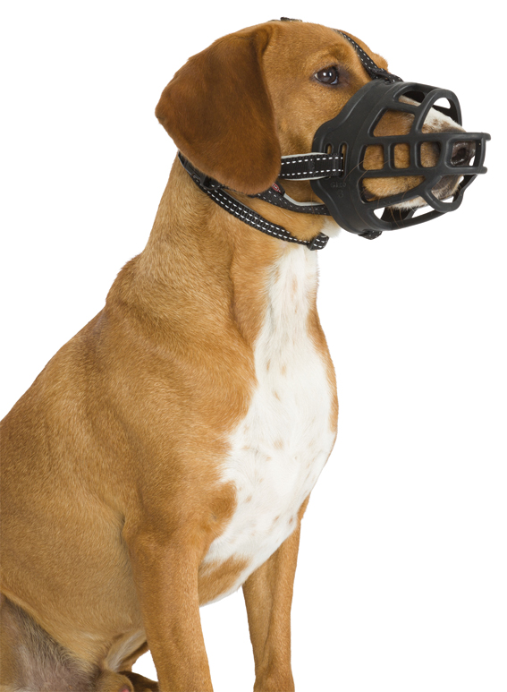 Kuonokoppa L Muzzle Flex silikonia vahva Trixie - Kuonokopat - 010273 - 1