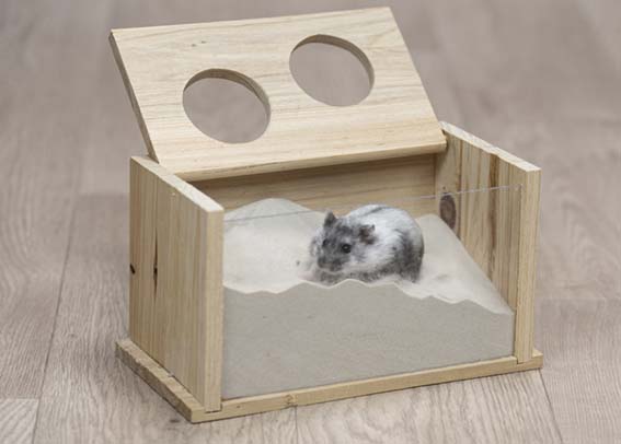 Kylpylaatikko 20x12cm puuta Trixie - Pieneläinten vessat ja kylpyastiat - 023723 - 1