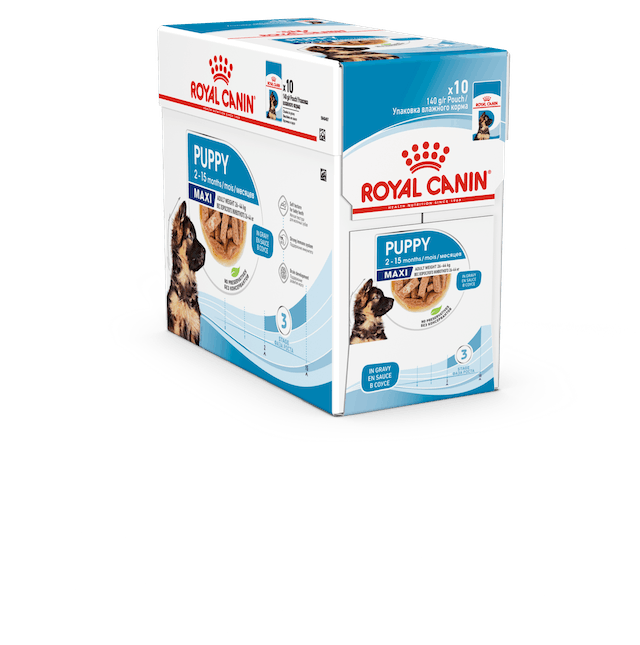 MAXI Puppy Gravy 10x140g kastike Royal Canin - Säilykeet pennuille ja kasvatukseen - 011843 - 2