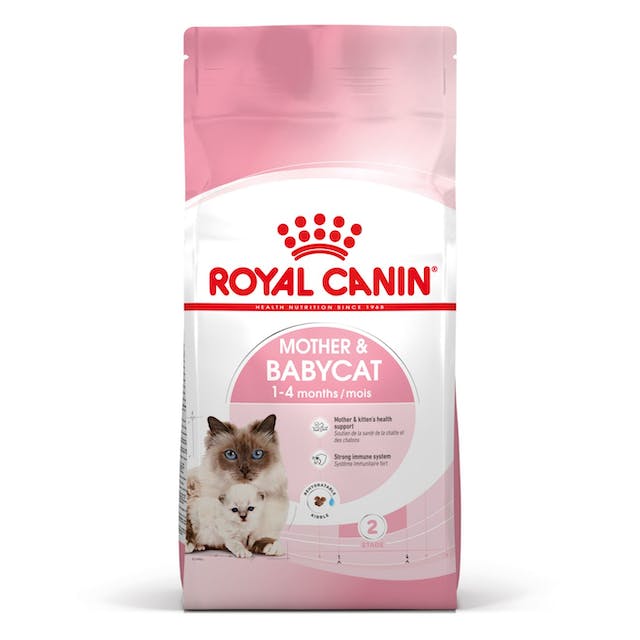 Mother & Babycat Royal Canin - Kissan kuivaruoat pennut ja kasvatus - 000763 - 4