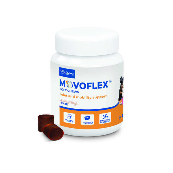 Movoflex 6g L yli 35kg Virbac - Koiran lisäravinteet - 037383 - 1