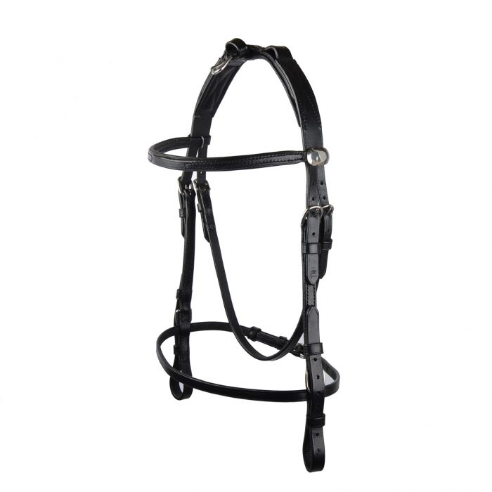 Ravisuitset FULL nahkaa mustat GP-Tack - Ravurin suitset ja turpahihnat - 006863 - 1