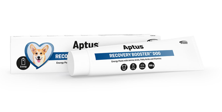 Recovery Booster koirille 100g Aptus - Koiran ruokinnan täydennys ja rehulisät - 033033 - 1