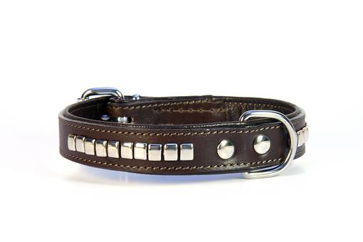 Solkipanta Lux laatta 25mm tummanruskea Onega - Koiran solkipannat - 033813 - 1