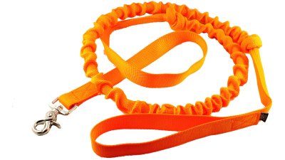 Talutin joustolla 2,5x240cm oranssi ALAC - Koiran nylontaluttimet - 017203 - 1