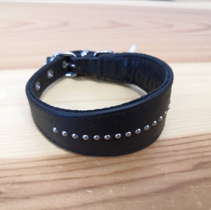 Vinttikoirapanta nahkaa 25cm niiteillä musta Onega - Koiran solkipannat - 027733 - 1