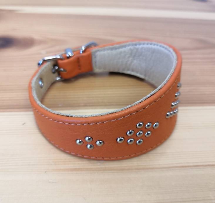 Vinttikoirapanta nahkaa 25cm niiteillä oranssi Onega - Koiran solkipannat - 031283 - 1