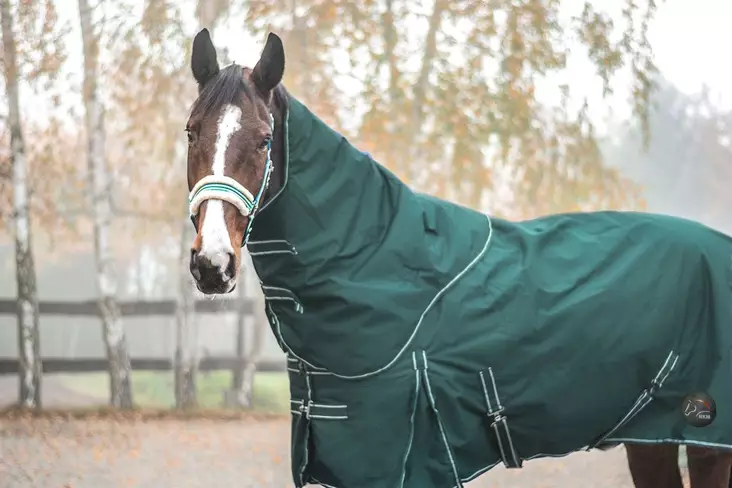 Sadeloimi irrotettavalla kaulakappaleella tummanvihreä HKM-sports - Hevosen vuorettomat ulkoloimet - 054363 - 1