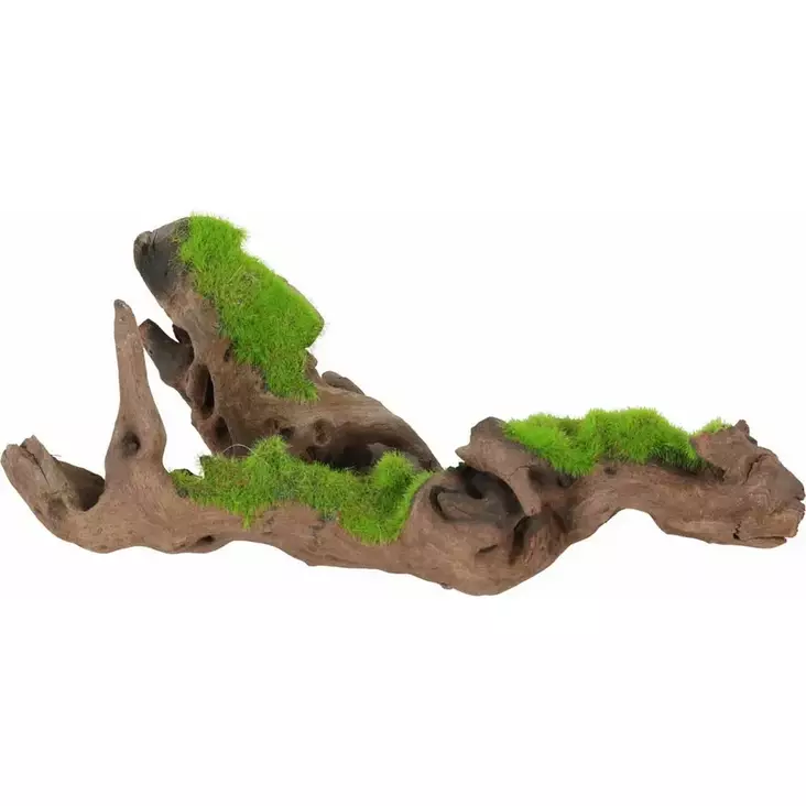 Juurakko siemenillä KiPouss S Zolux - Akvaarion tarvikkeet ja hiekat - 053563 - 1