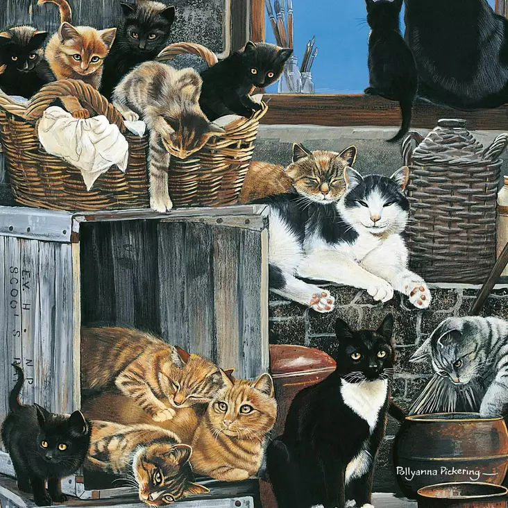 Kortti 13.7x13.7cm Company of Cats - Lahjatavarat - 059143 - 1