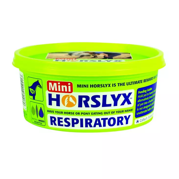 Nuolu/koulutuskivi Mini Respiratory 650g Horslyx - Hevosen suola ja nuolukivet - 039503 - 1