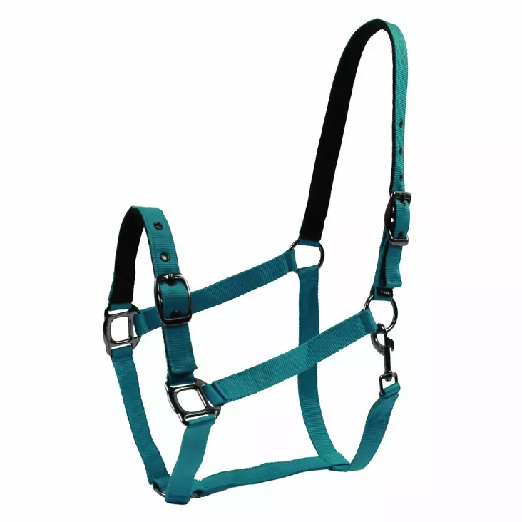 Nylonriimu Black Edition Classic FULL petrooli Equitare - Hevosen nylonriimut - 052903 - 1