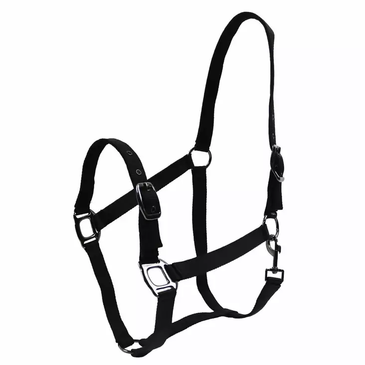 Nylonriimu BE Classic SHET must Equitare - Hevosen nylonriimut - 048663 - 1