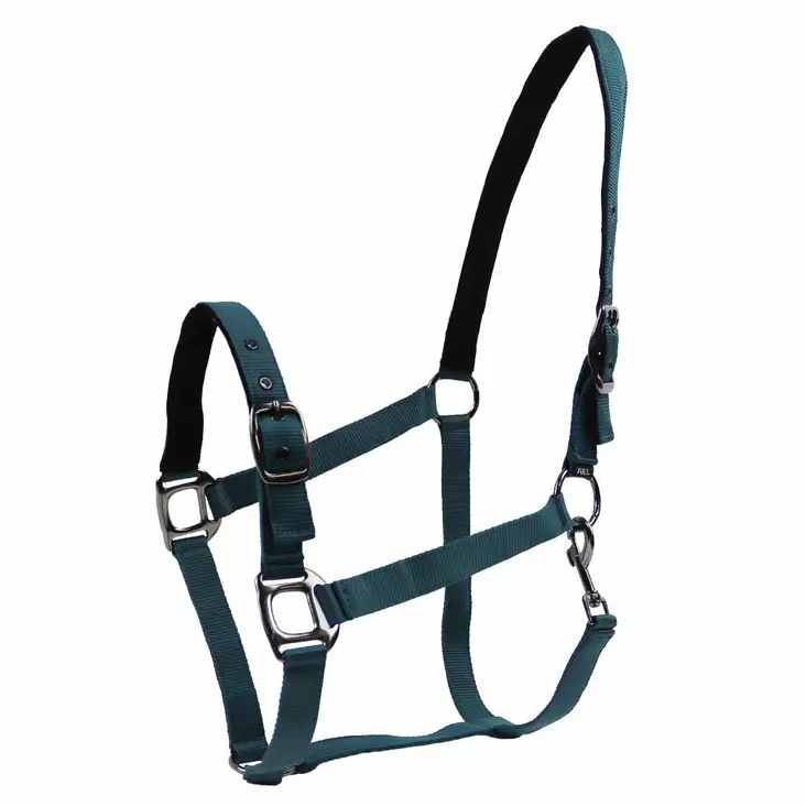 Nylonriimu Black Edition Classic tummansininen Equitare - Hevosen nylonriimut - 046753 - 1