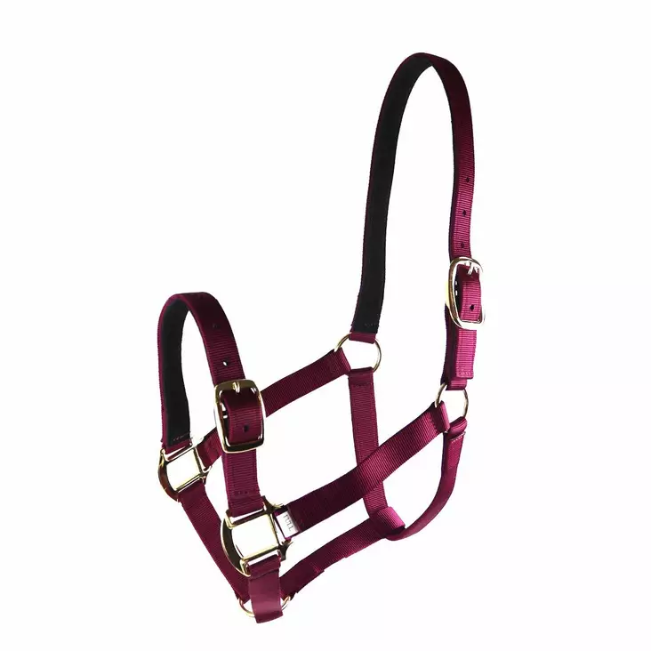 Nylonriimu turvalta avattava viininpunainen Equitare Pro - Hevosen nylonriimut - 056443 - 1