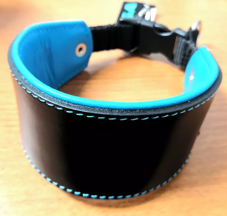 Pikalukkopanta Anett musta/sininen levennetty ONEGA - Koiran pika- ja pistolukkopannat - 049853 - 1