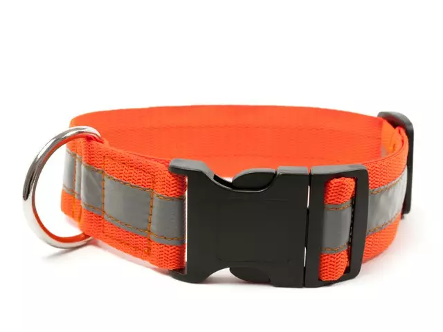 Pikalukkopanta heijastimella oranssi Mystique - Dummyt, riistakoulutus, metsästys - 049713 - 1